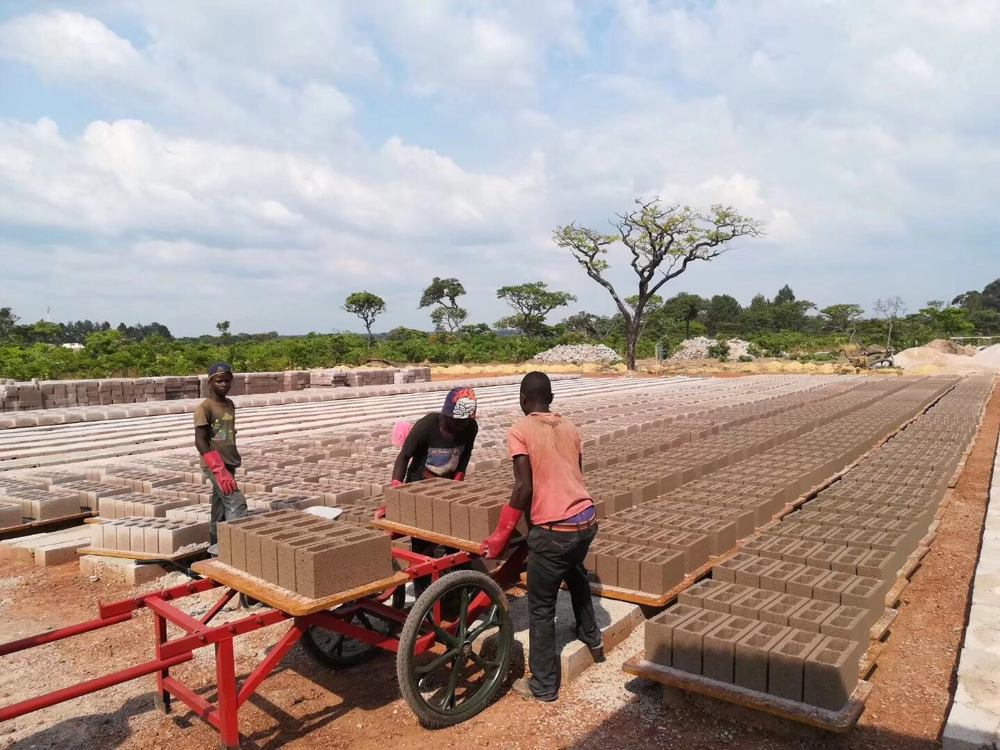 QT8‑15C Automatic Brick Making Machine Overseas Case | Open‑air Brick Plant in Zambia, Africa