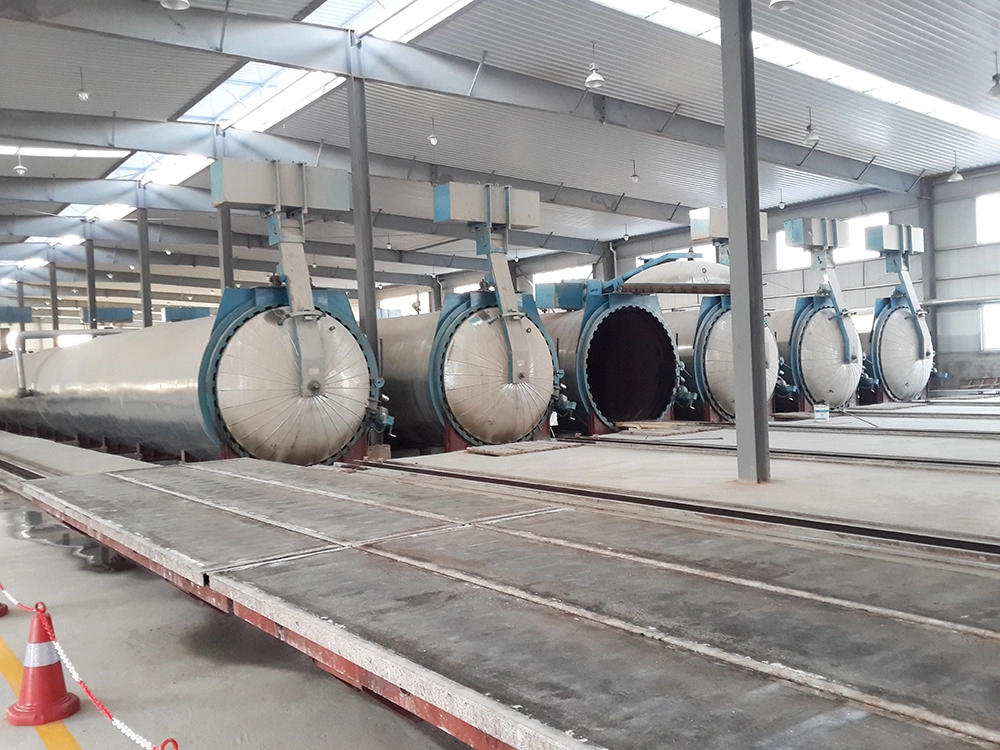 Autoclave Curing Section
