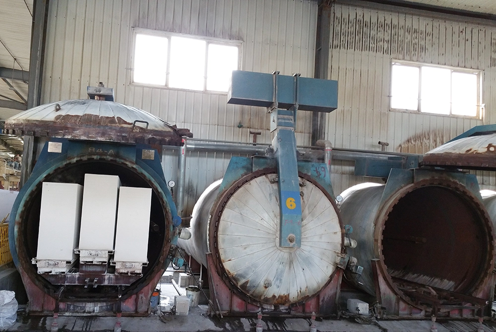 Autoclave Curing Section