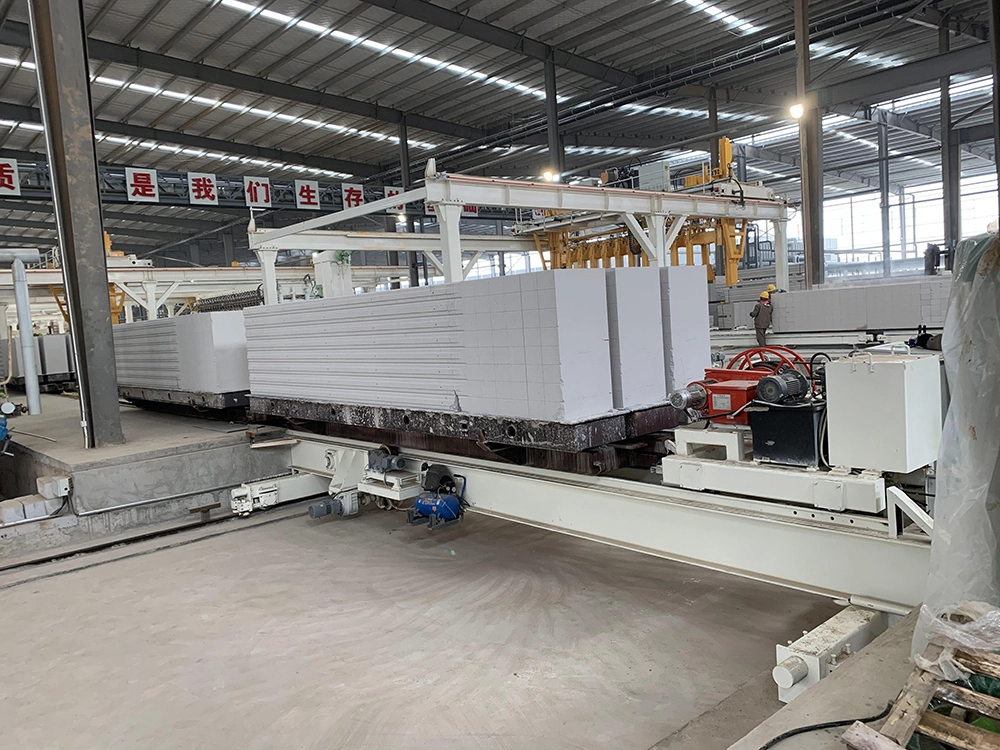 4、Finished Product Discharging & Packaging Section after Autoclave